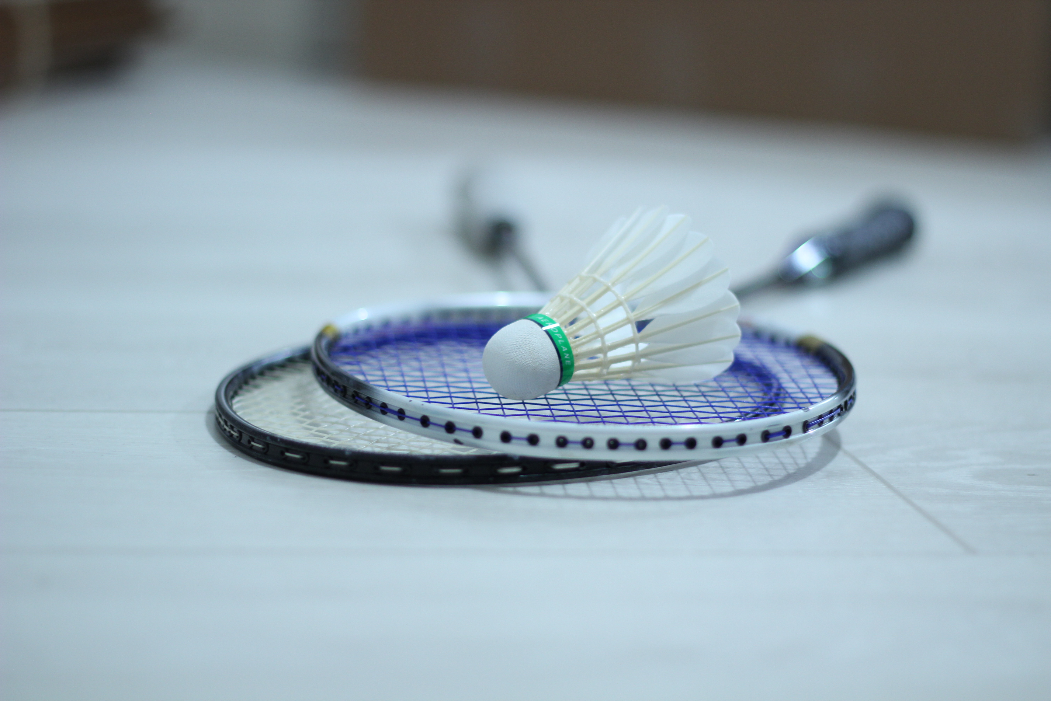Badminton Programs